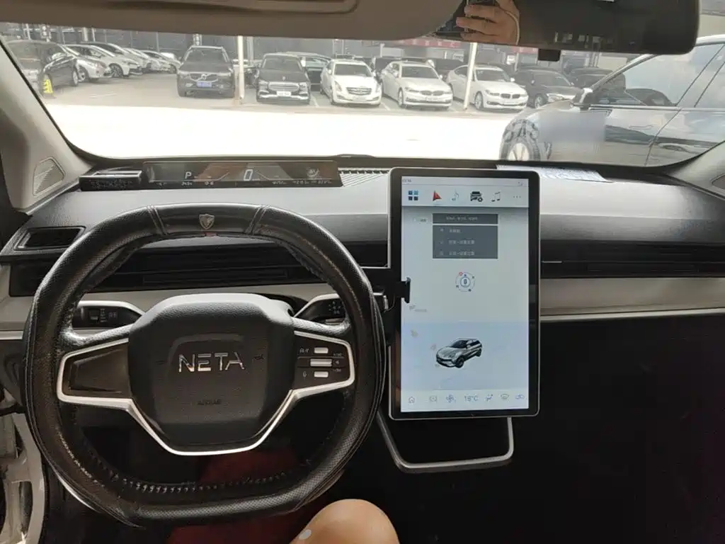 Neta Neta V — миниатюра 10