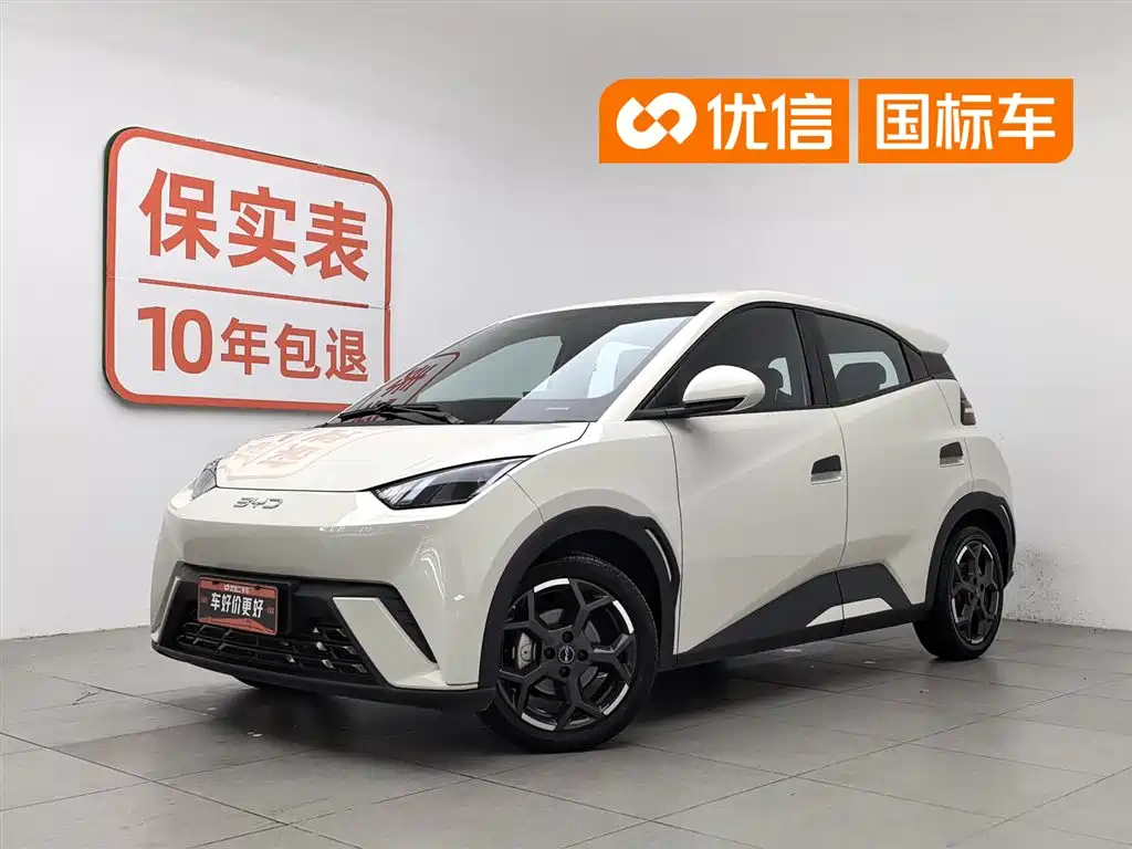 BYD Seagull 2025 405km Fly Fly Edition
