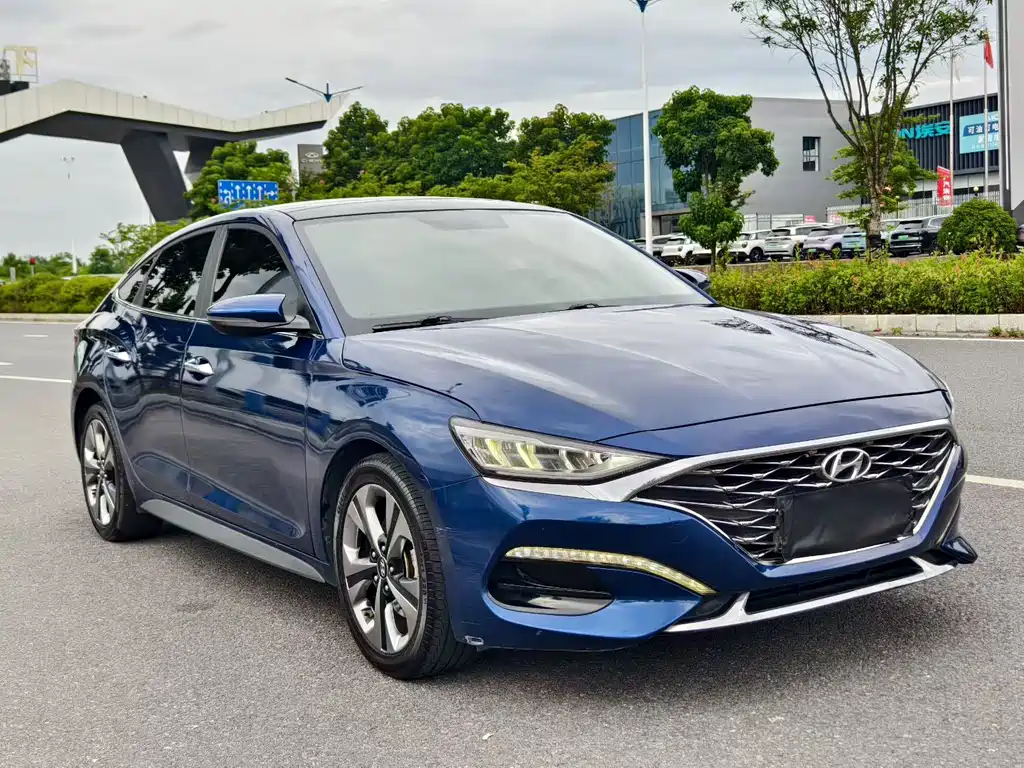 Hyundai Fista - фото 3