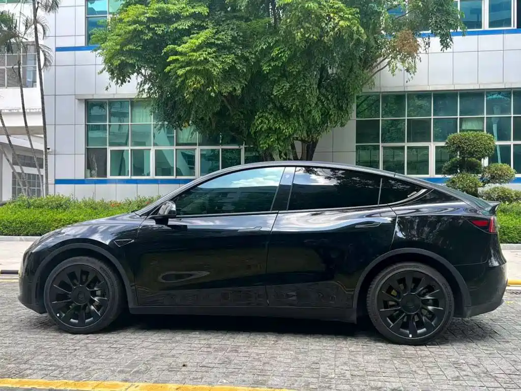 Tesla Model Y — миниатюра 8