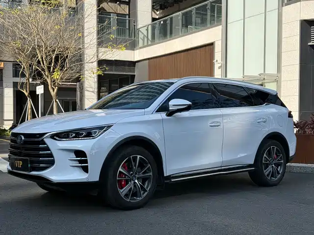 BYD TANGXIN ENERGY 2019