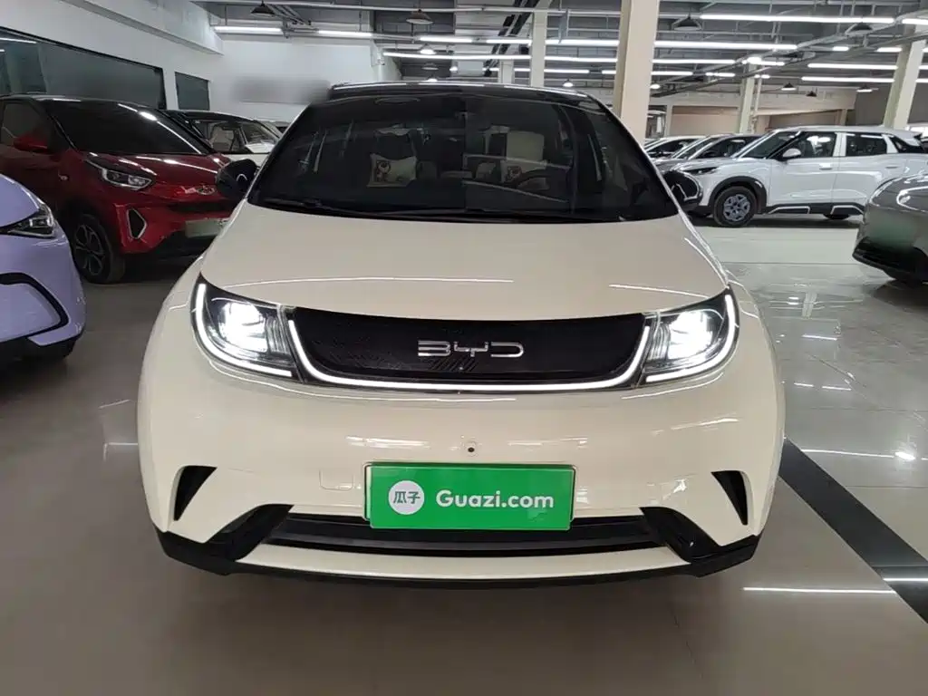 BYD Dolphin — миниатюра 3