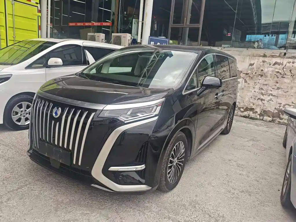 Denza D9