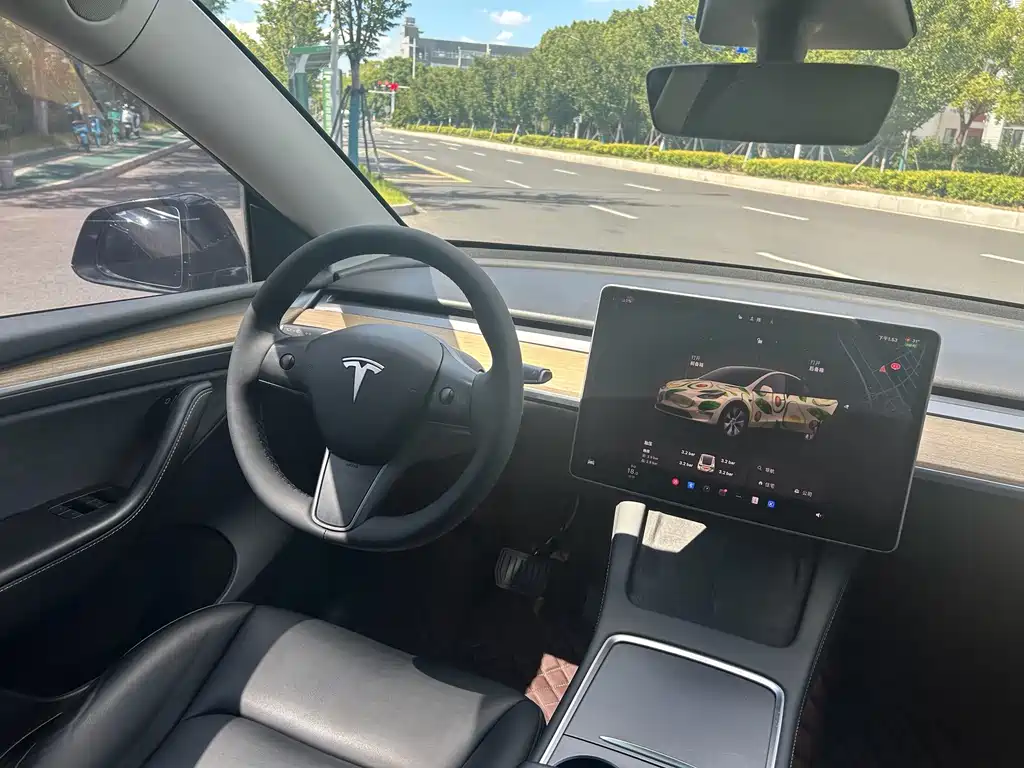 Tesla Model Y — миниатюра 8