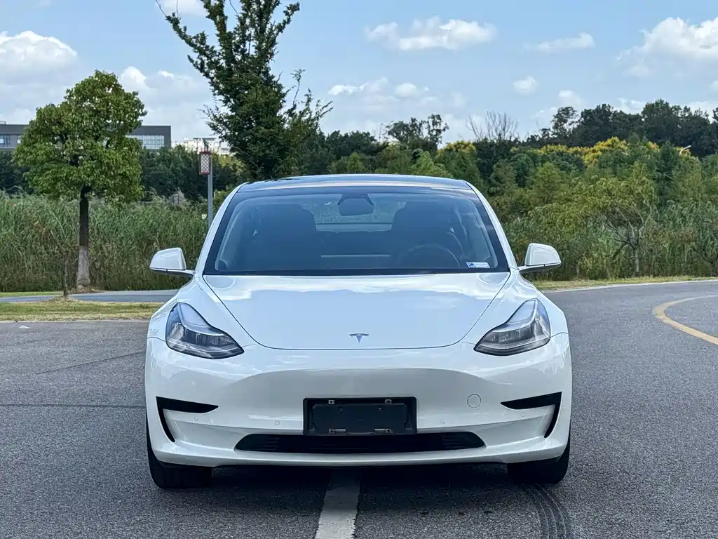 Tesla Model 3 — миниатюра 2