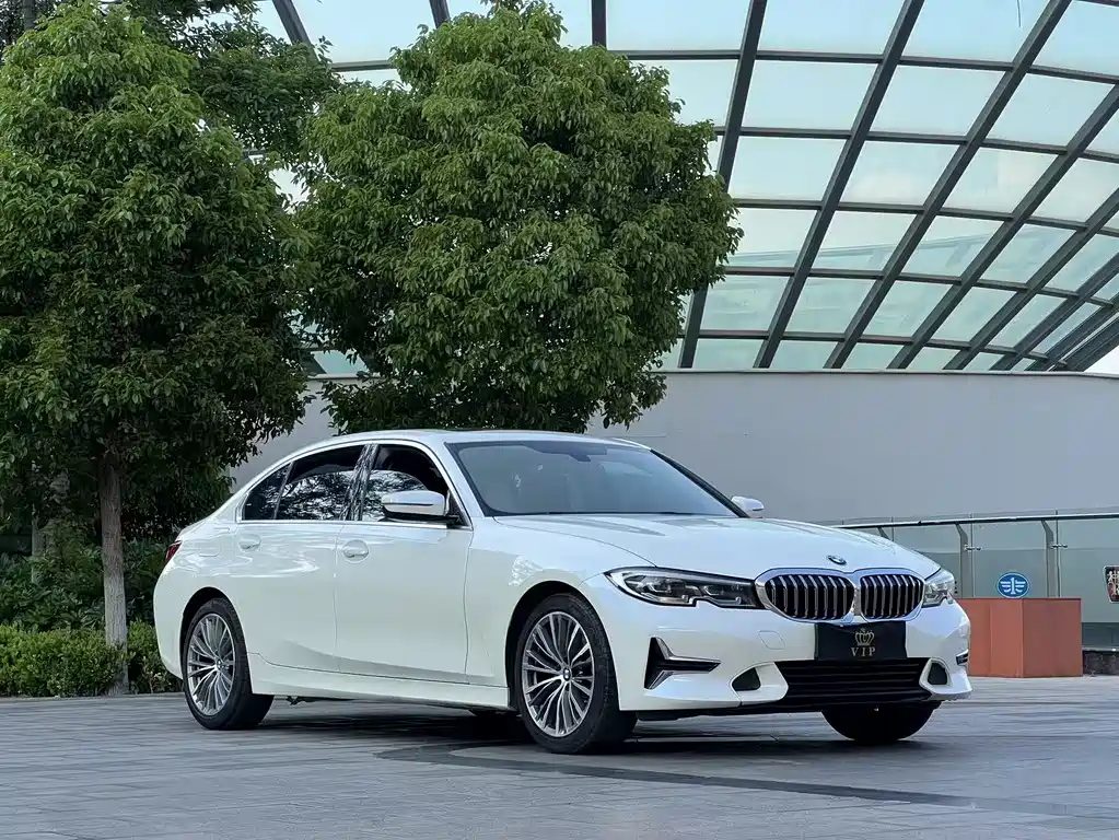 BMW 3 Series 3 2020 325Li