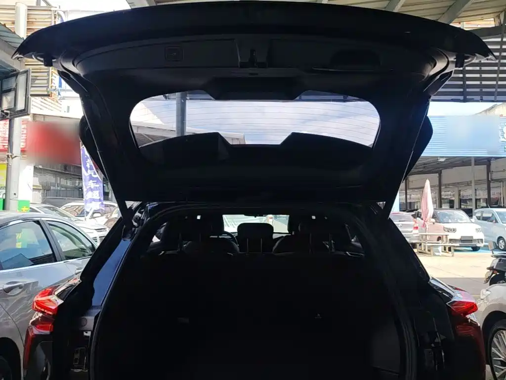 Haval Shenshou — миниатюра 19