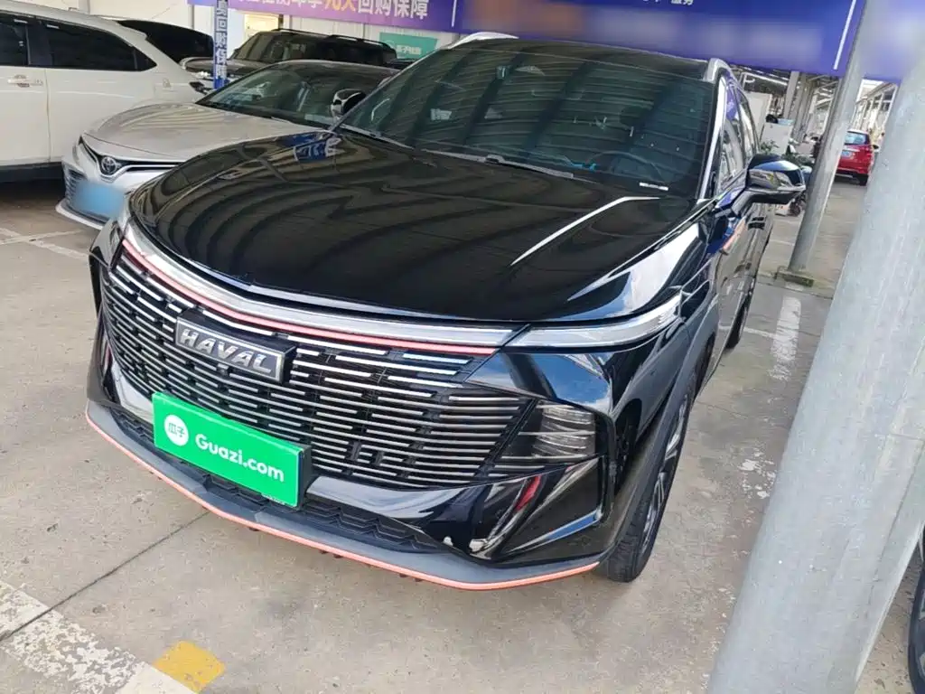 Haval Shenshou — миниатюра 2