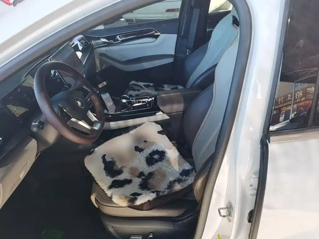 BYD Qin PLUS — миниатюра 15