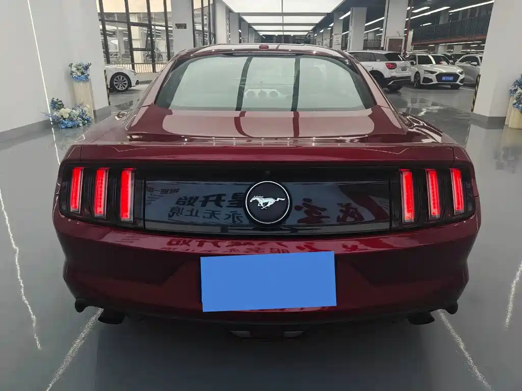 Ford Mustang — миниатюра 13