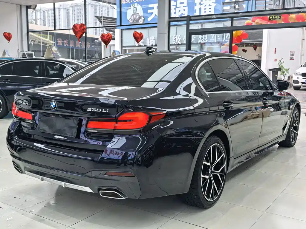 BMW 5 Series — миниатюра 9