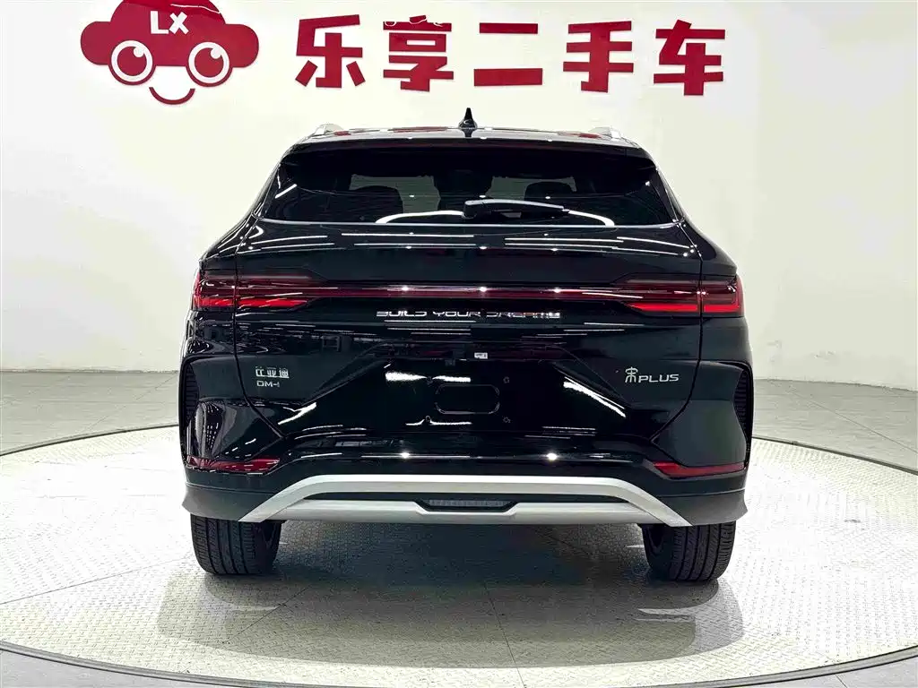 BYD PLUS New Energy — миниатюра 4