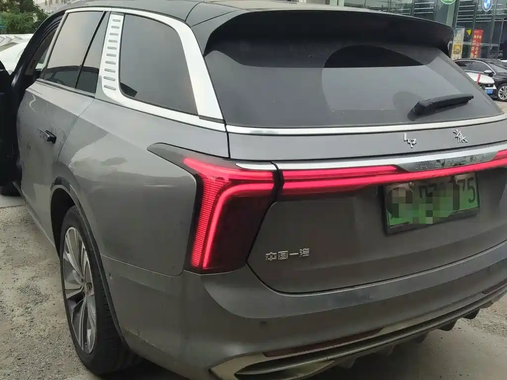 Hongqi E-HS9 2021 510km мест