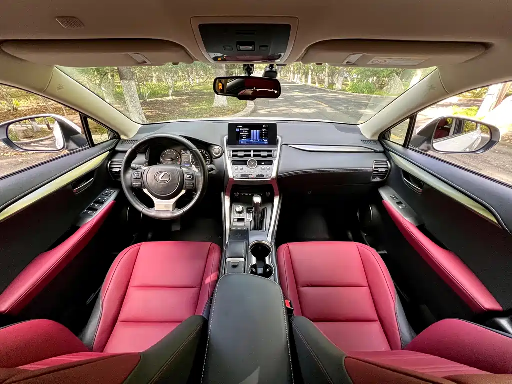 Lexus NX — миниатюра 28