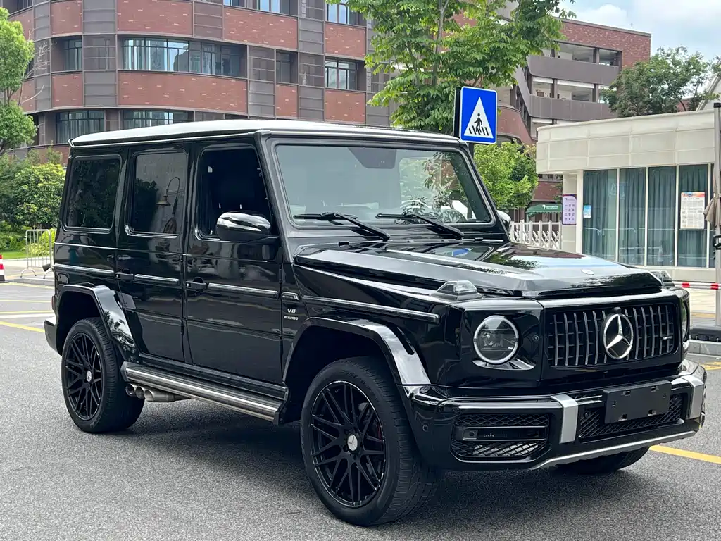 Mercedes-Benz G-Class A MG G AMG 2009 AMG G 55