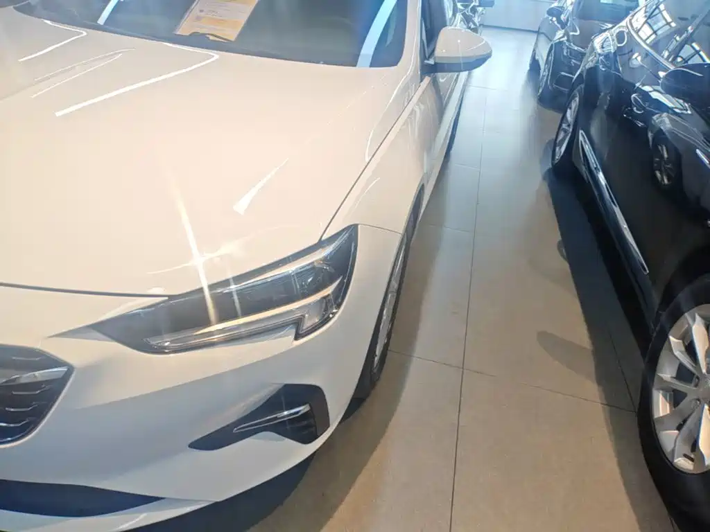 Buick Regal — миниатюра 24
