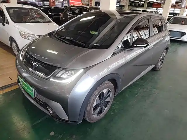 2024 BYD Dolphin