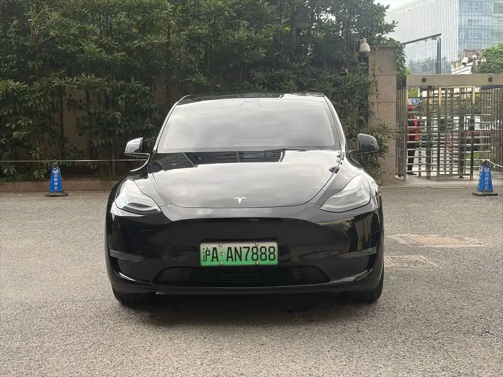 Tesla Model Y — миниатюра 2