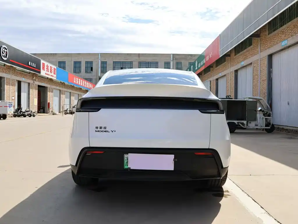 Tesla Model Y — миниатюра 13
