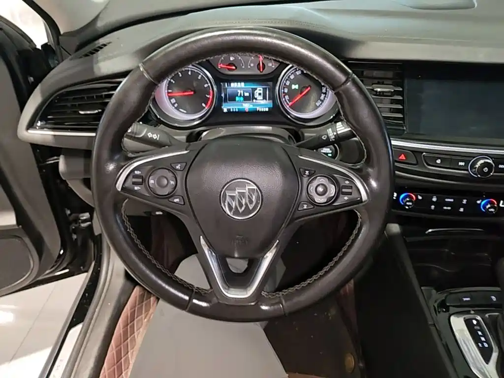 Buick Regal — миниатюра 11