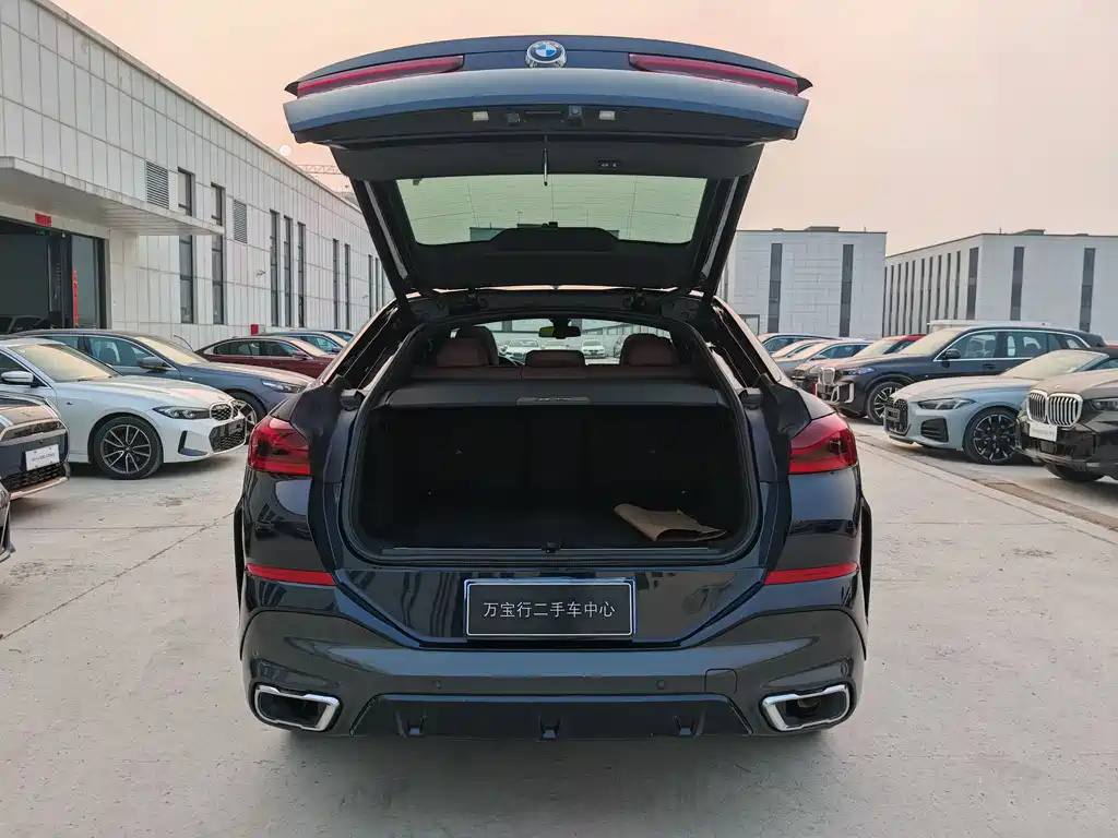 BMW X6 2021 xDrive30i M Sport