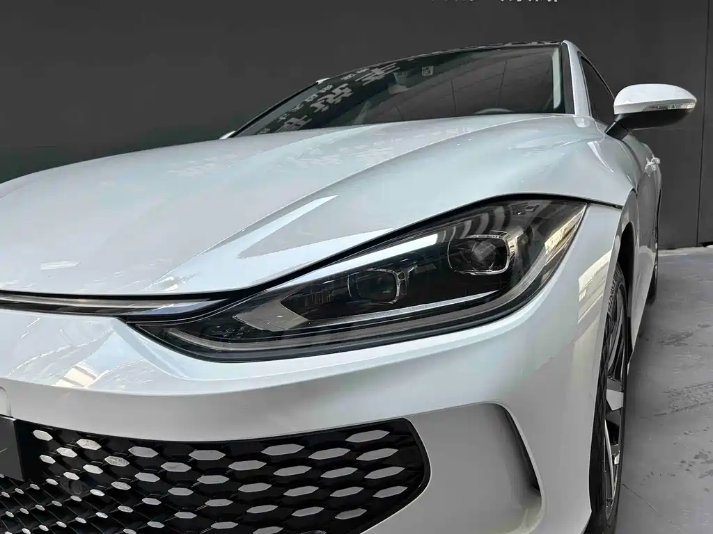 Volkswagen Lamando — миниатюра 2
