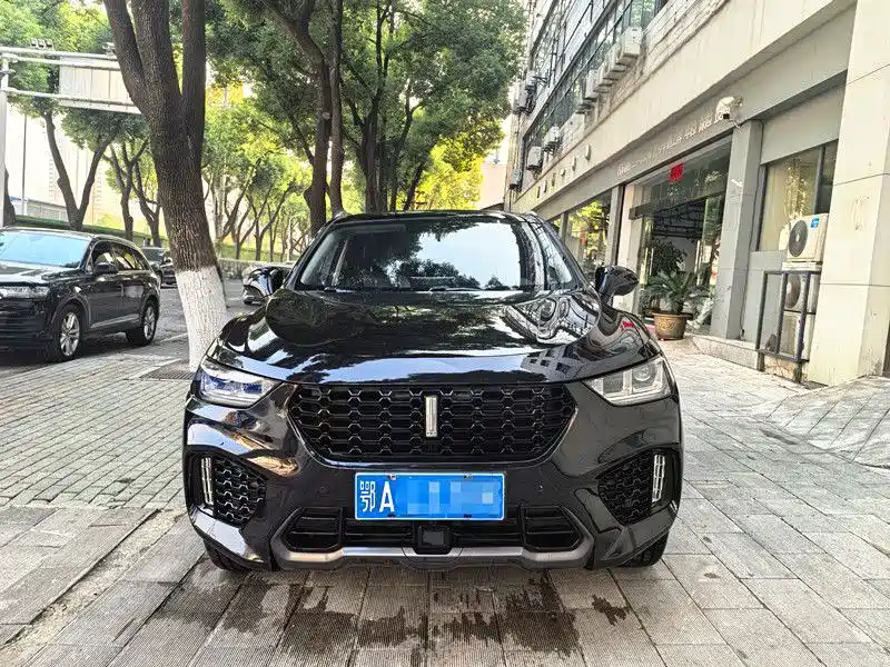 Wey Wey VV5 — миниатюра 2