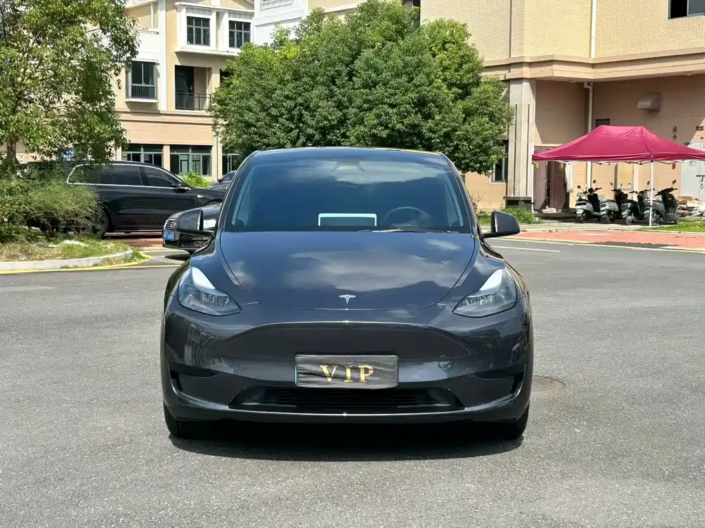 Tesla Model Y — миниатюра 2