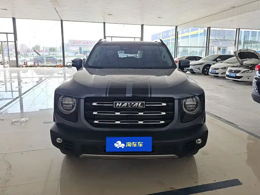 Haval 长城大狗 — миниатюра 2