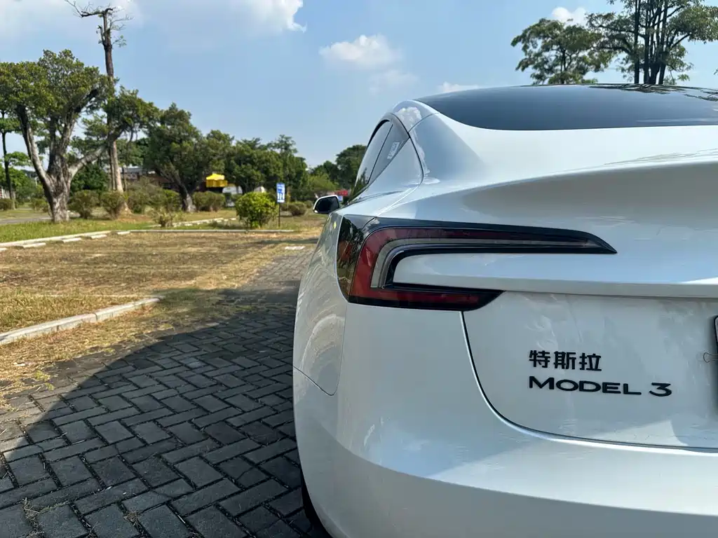 Tesla Model 3 — миниатюра 24