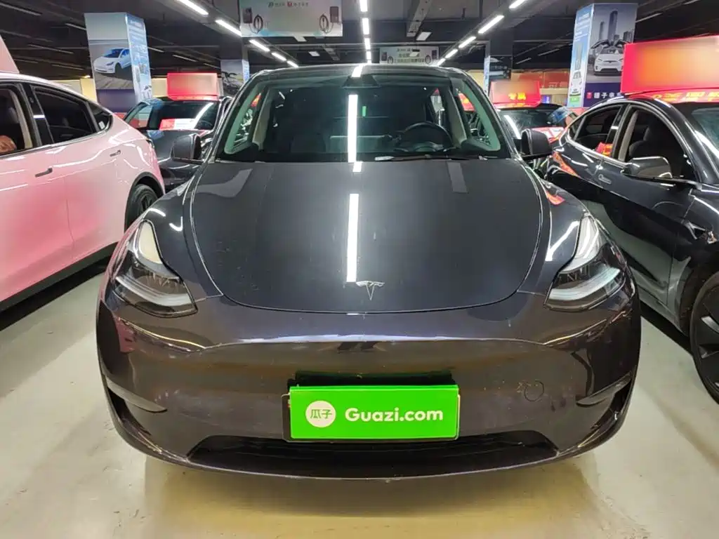 Tesla Model Y — миниатюра 3