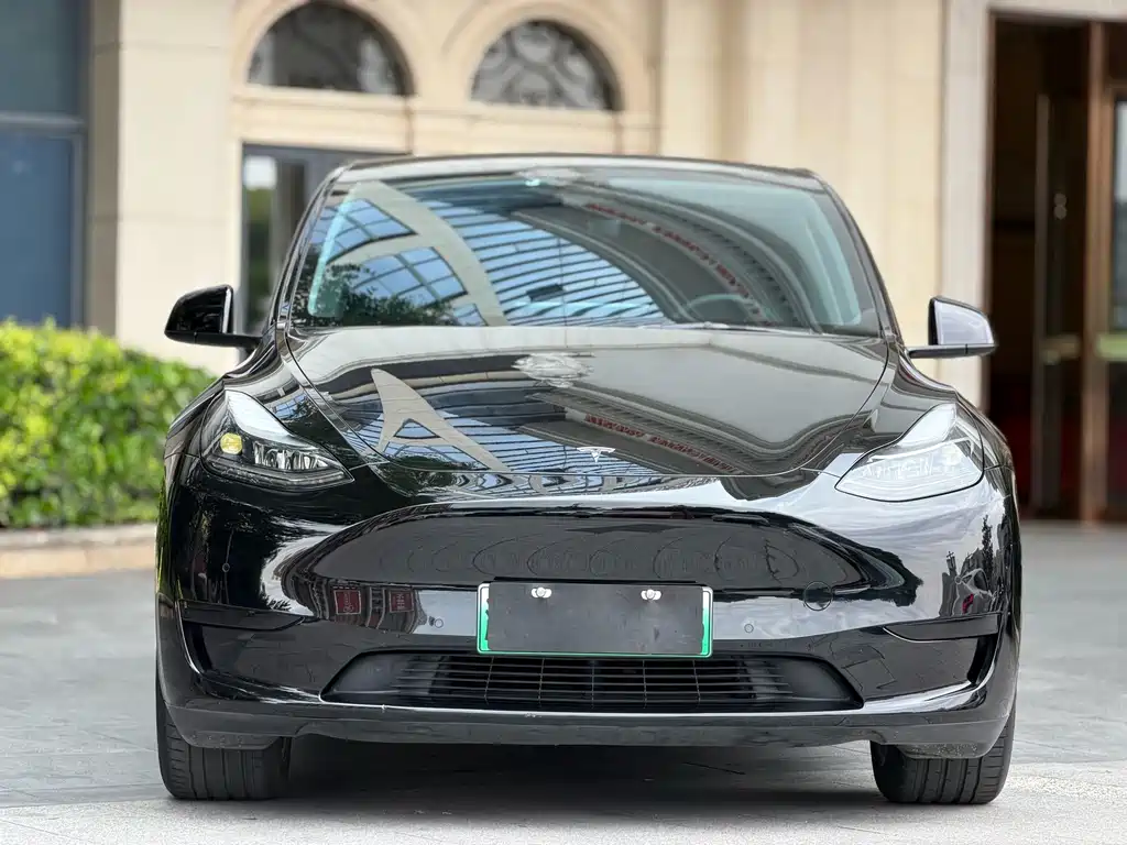 Tesla Model Y — миниатюра 2