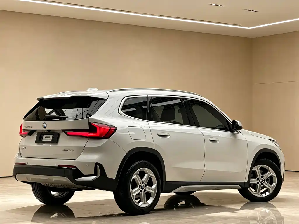 BMW X1 — миниатюра 3