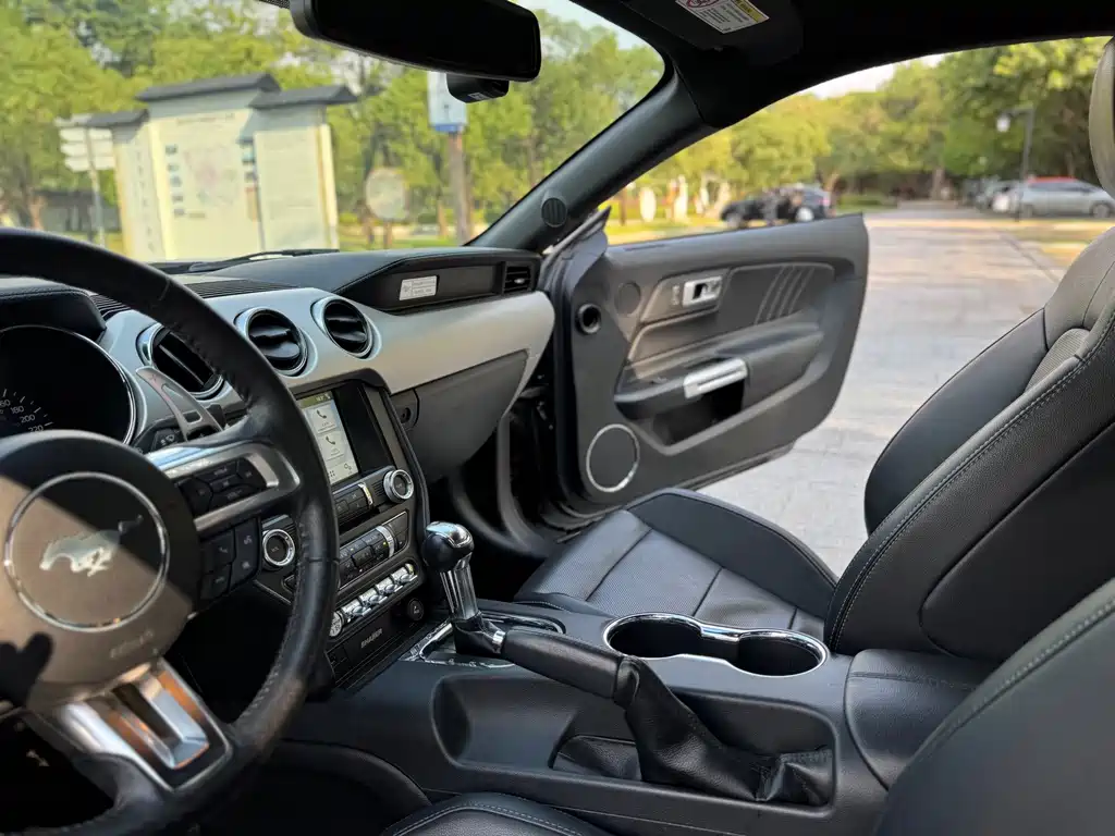 Ford Mustang — миниатюра 18