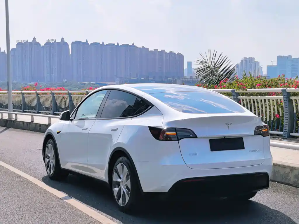 Tesla Model Y — миниатюра 6