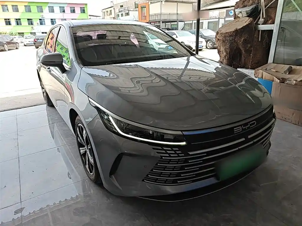 BYD Destroyer 05 2022 DM-i 55KM Luxury