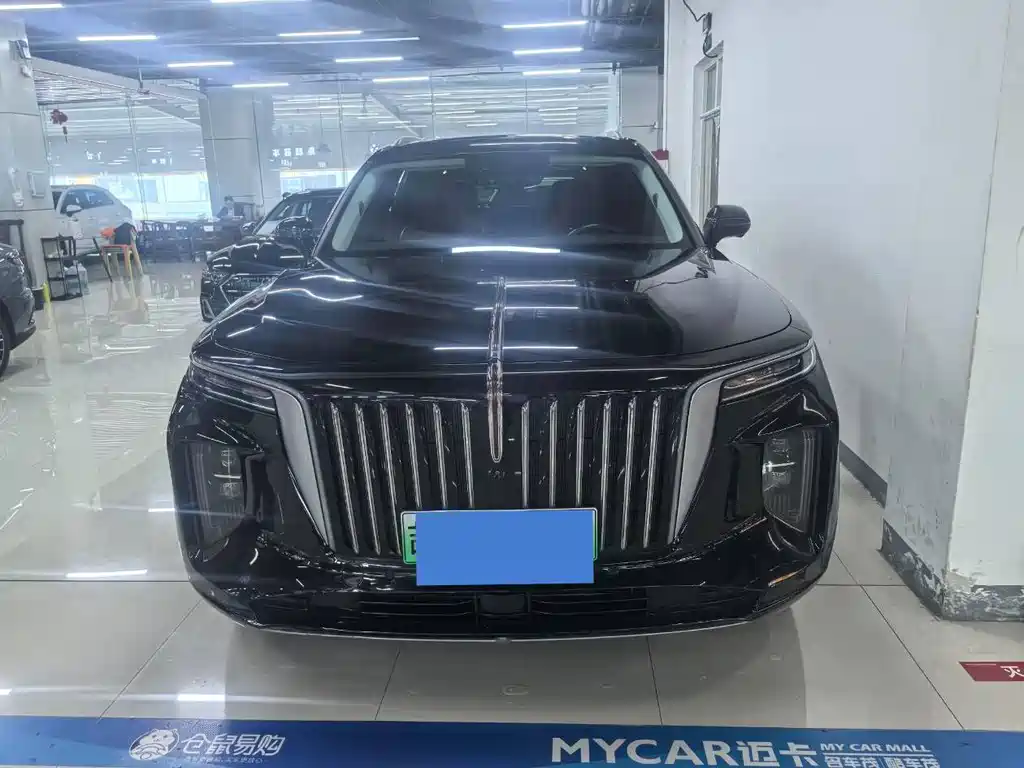 Hongqi Hongqi E-HS9 — миниатюра 2