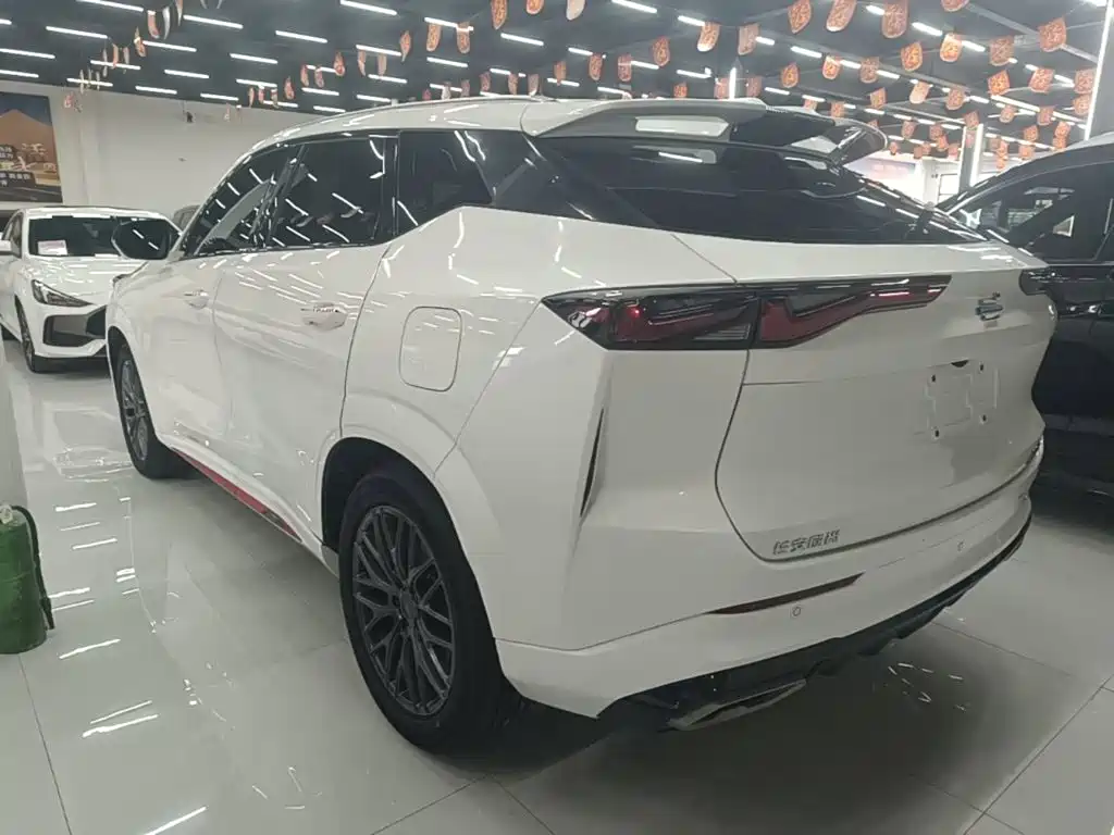Changan Oshan Z6 2023 — фото 4