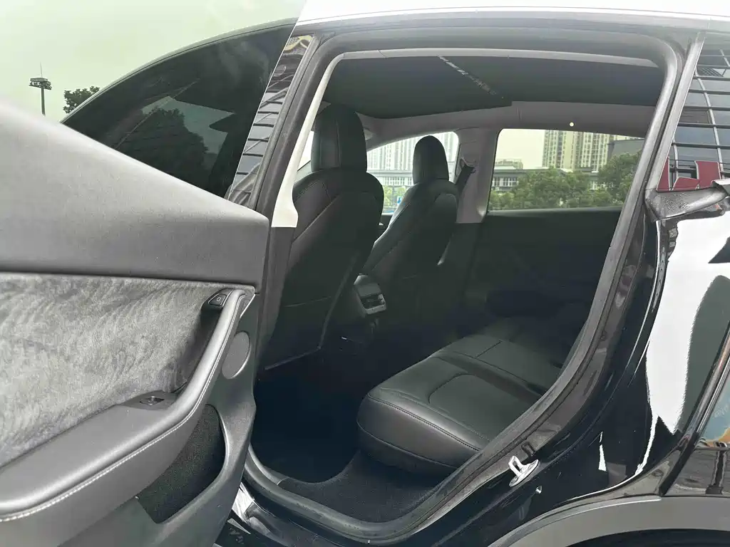 Tesla Model Y — миниатюра 12