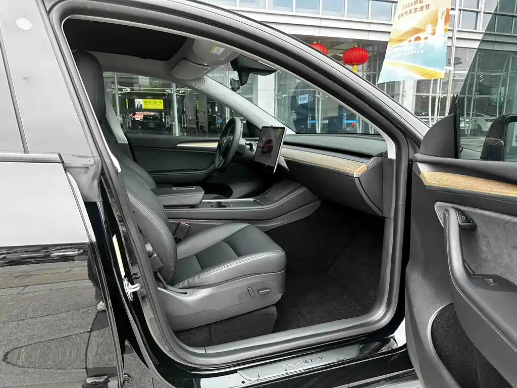 Tesla Model Y — миниатюра 15