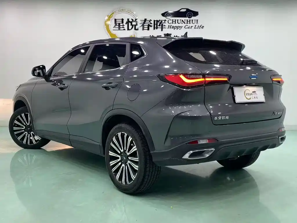 Oshan Oushang X5 — миниатюра 7