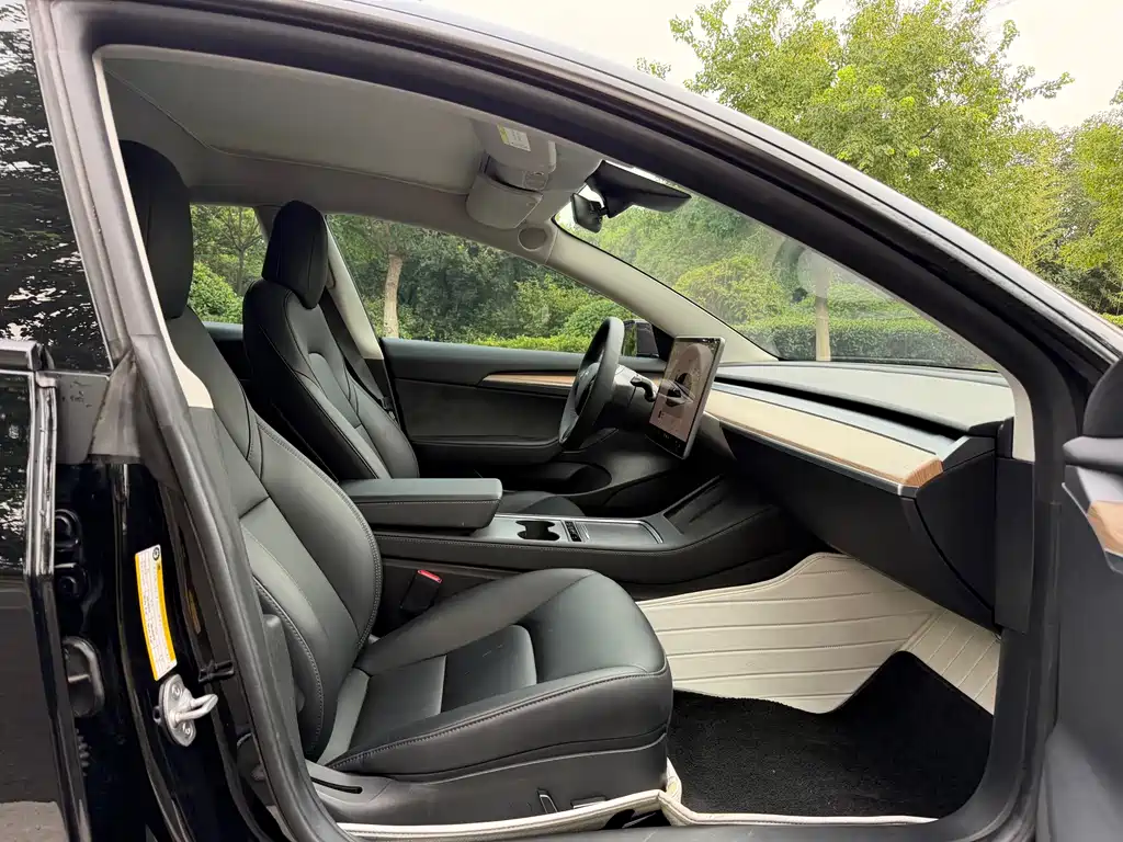 Tesla Model 3 — миниатюра 10