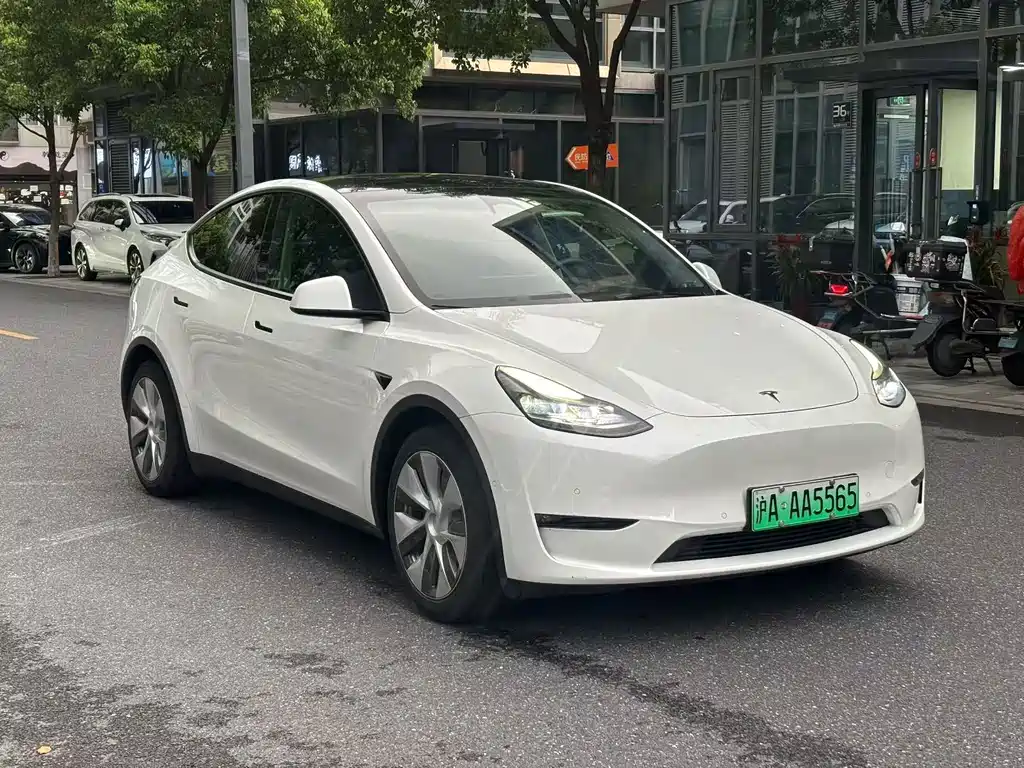 Tesla Model Y — миниатюра 3