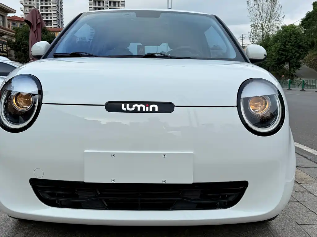 Qiyuan Lumin — миниатюра 2