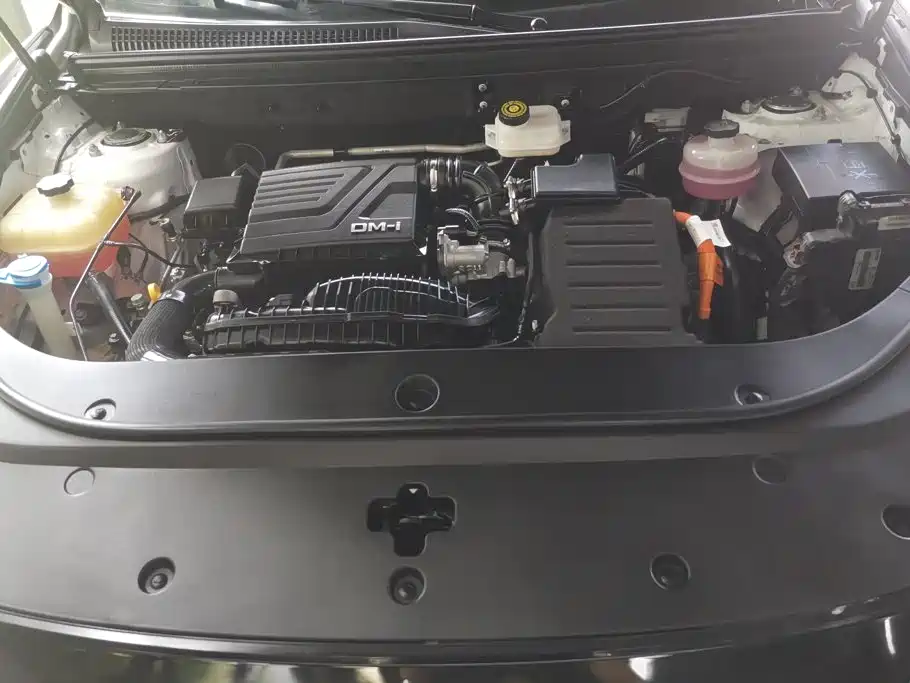 BYD Pro New Energy — миниатюра 10