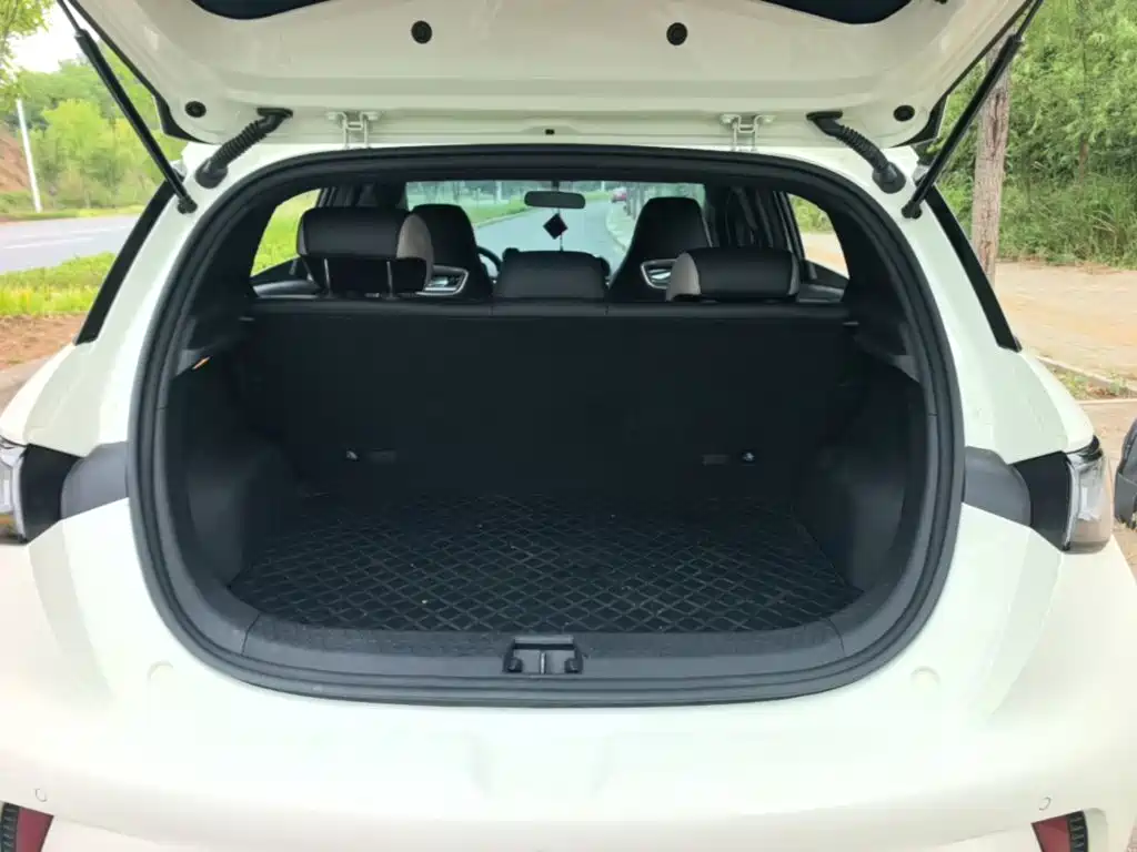 BYD Dolphin — миниатюра 19