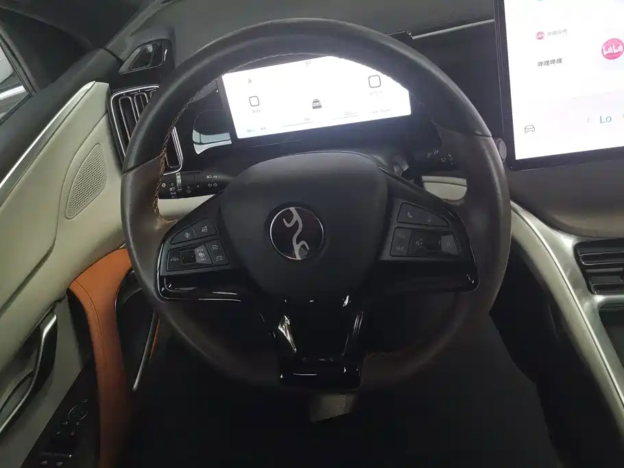 BYD Pro New Energy — миниатюра 15