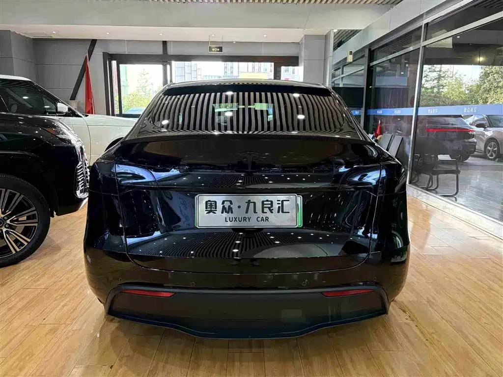 Tesla Model Y — миниатюра 11