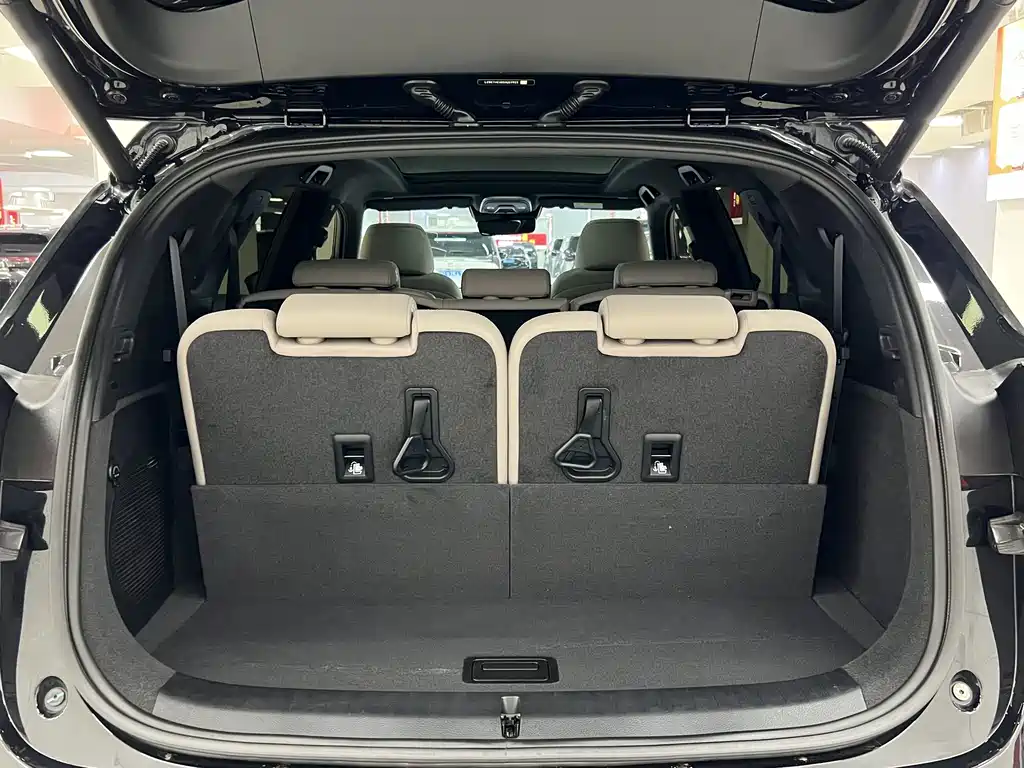 BYD Tang New Energy — миниатюра 12