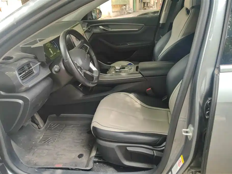 BYD Destroyer 05 2023 Champion DM-i 55KM Luxury